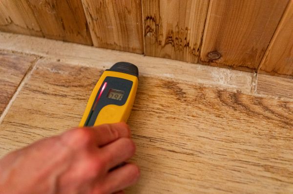 Indoor Mold Spore Testing