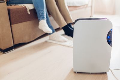 Dehumidifier Repair in Sarasota, FL