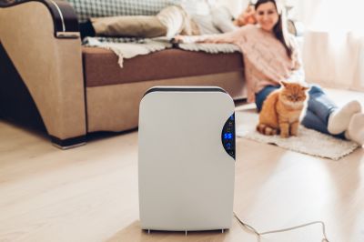 Dehumidifier Replacement in Sarasota, FL