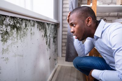 Mold Growth Indicators